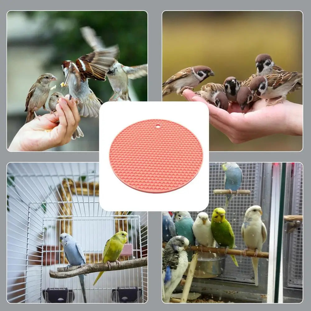 Bird Enrichment Toys Slow Feeding Pet Parakeets Mat Pet Parrot Food Slow Eating Mat For African Grey Parrots Conures And Budgies