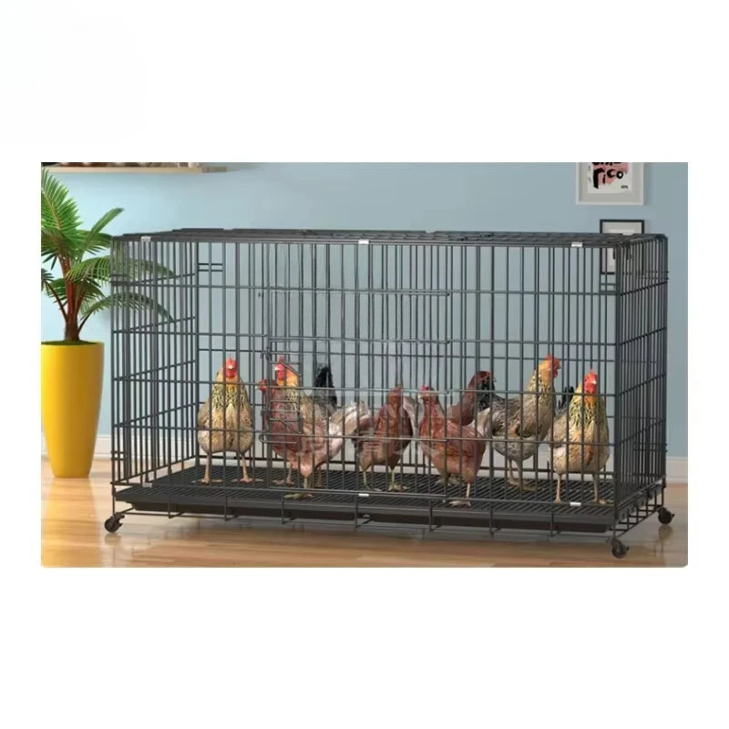 Chicken Coop Egg Laying Automatic Feces Clearing and Egg Rolling Chicken Cage Henhouse Folding Breeding Cage