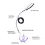 Pet Parrot Harness Adjustable Elastic Nylon Traction Rope Parrot Bird Flying Training Harness Leash Set for Small Medium Parrot