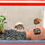 Hermit Crab Toys Hermit Crab Toys Reptile Tank Terrarium Accessories Reptile Tank Terrarium Accessories Hermit Crab Climbing