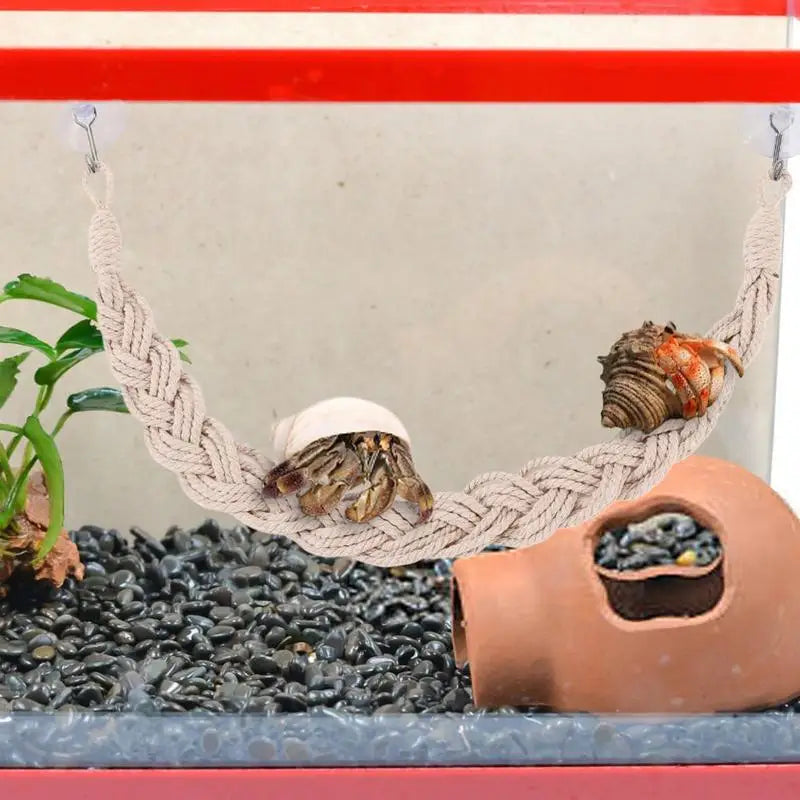 Hermit Crab Toys Hermit Crab Toys Reptile Tank Terrarium Accessories Reptile Tank Terrarium Accessories Hermit Crab Climbing