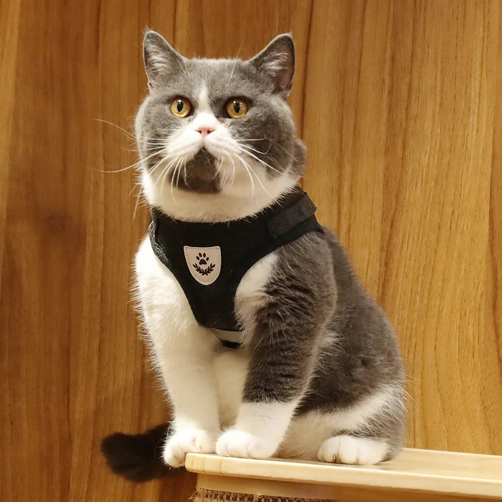 Breathable Cat Harness with Leash Anti-Escape Cat Vest Harness Collar for Kitten Pet Accessories Adjustable Puppy Harness Leads
