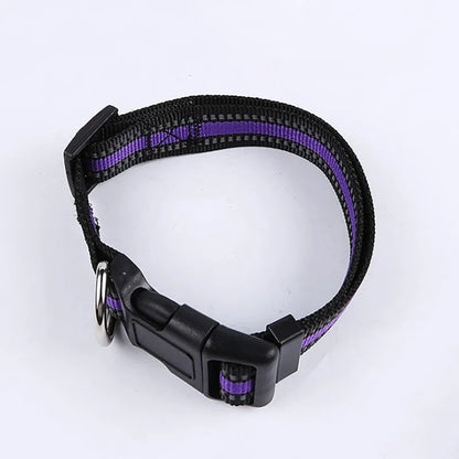 Adjustable Durable Pet Collar Leash for Small Medium Large Dogs Cats Reflective Dog Collar Nylon Collar for Dog Cat Pet Supplies