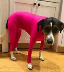 Four Feet Lightweight Pajamas Pure Dog Jumpsuits Tight Dog Coat Nursing Clothes Bodysuit For Small Medium Large Dogs Pet Costume