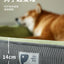 Kennel Universal Sleeping Pad Corgi Shiba Inu Dog Bed Removable and Washable Winter Warm Pet Nest Dog Mat