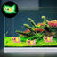 Miniature Axolotl Figures Cute Resin Mini Aquarium Figures In The Dark Durable Axolotl Figurines Small Aquarium