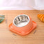 Fun Shaped Anti Tipping Cat Bowl With Added Water to Prevent Ants