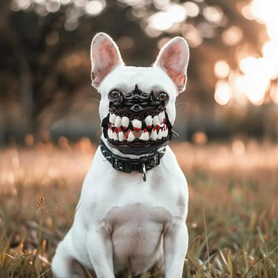 Halloween Dog Muzzle With Teeth Creepy Dog Costume With Large Teeth Spooky Prop Halloween Dog Costume Hilarious Dog Muzzle