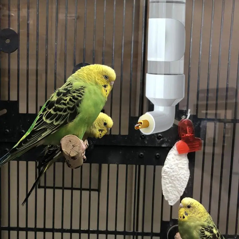 Birds Water Feeder Automatic Bird Cage Suspended Waterer Parakeet Water Dispenser Budgie Drink Acrylic Drinker Bottle For Canary