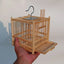 Grasshopper Cage, Bamboo Single Grid, Pure Handmade Bamboo Woven Cage, Classic Insect Crawling Tool with Drawer