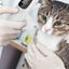 Pet Dog Cat Ear Digital Thermometer Animal Thermometers For Cats Animal Measuring Non-Contact Electronic For Home and Clinic Use