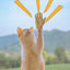 Mini Hands For Cats Paws Mini Finger Puppets Fake Small Finger Hand Puppet Fake Hand Toy Silicone Dog Funny Finger Puppets