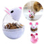 Pet Feeder Cat Toy Mouse Food Rolling Leakage Dispenser Bowl Playing Training Funny Toys for Cat Kitten Cats Toy Pet Supplies