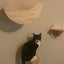 Wall Mounted Cat Climbing Wooden Shelves Cat Hammock Hanging Bed with Jumping Platform and Stairway for Kitten Playing and Rest