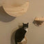 Wall Mounted Cat Climbing Wooden Shelves Cat Hammock Hanging Bed with Jumping Platform and Stairway for Kitten Playing and Rest