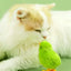 Wind Up jumping Interactive Gifts chicken Funny Pet Teaser Kittens Toys Pet Dog supplies Cats Toys Games Accessories Cat Toy