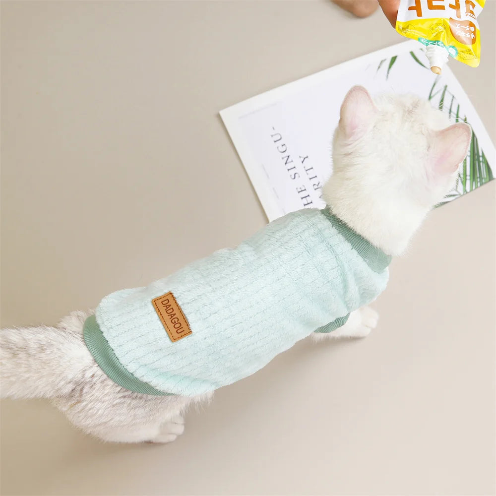 Autumn Winter Sphynx Cat Clothes Korean Pet Sweater for Cats Gotas Katten Kedi Pullovers Dog Hoodie mascotas Costume Clothing