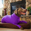 Four Feet Lightweight Pajamas Pure Dog Jumpsuits Tight Dog Coat Nursing Clothes Bodysuit For Small Medium Large Dogs Pet Costume
