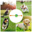 Dog Treat Hiding Toy Snuffle Ball Interactive Slow Feeder Treat Toy Slow Food Training Sniff Ball Dog Exquisite Comfortable