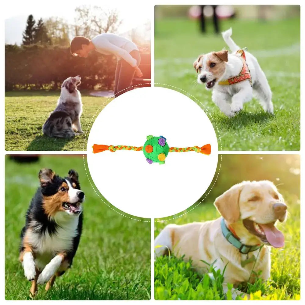 Dog Treat Hiding Toy Snuffle Ball Interactive Slow Feeder Treat Toy Slow Food Training Sniff Ball Dog Exquisite Comfortable