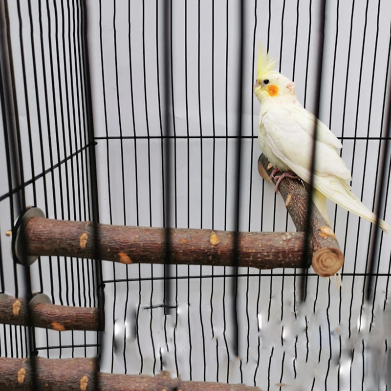 Natural Wood Pet Parrot Raw Wood Fork Tree Branch Stand Rack Squirrel Bird Hamster Branch Perches Chew Bite Toys Stick
