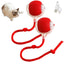 Cat Interactive Ball Toys Automatic Rolling Ball Faux Tail Rechargeable Smart Pet Electric Toy Dog Cat Training Imitate Mouse