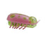 Mini Electric Bug Pet Dog Cat Toy Interactive Cute Ladybird Beetle Animal Shape Cat Toys Walking Insect Cat Playing Supplies
