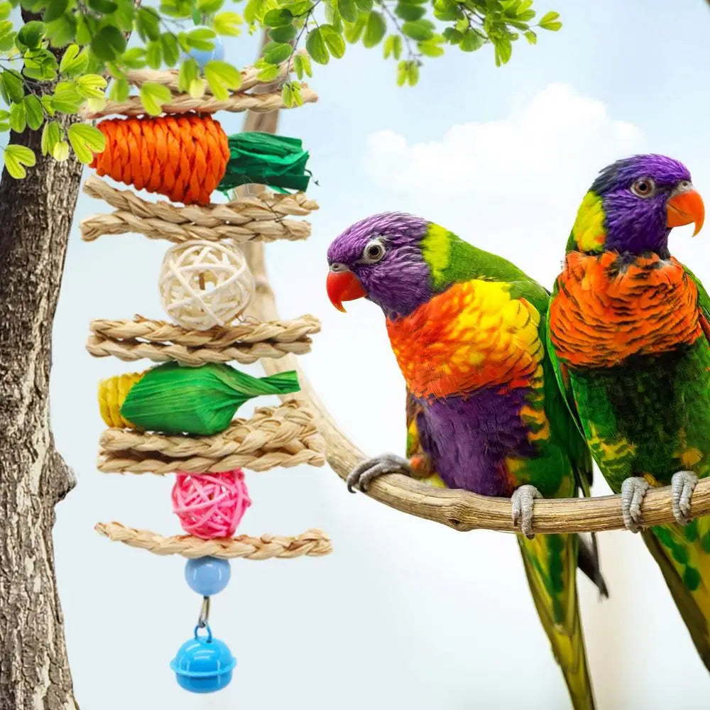 Bird Chew Toys Parrot Teething Toy Cuttlefish Bone Chewing Toys Braided Carrots Molar Stone Cultivate Foraging Instincts Molar