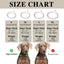 Adjustable Pinch Collar for Dogs,Gold Dog Training Collar Prong Collar with Quick Release Buckle for Small Medium Large Dogs