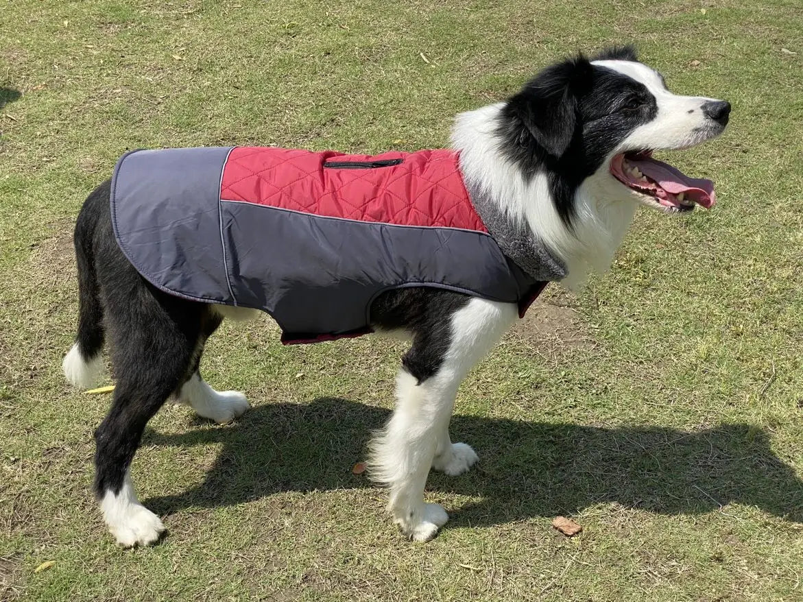 Warm Fleece Collar Dog Coat Jacket Double-Sided Winter Dog Coat Waterproof Puppy Clothing For Small Medium & Large Dogs Supplies