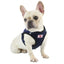 Dog Harness Dog Traction Rope Corduroy Breathable Dog Chest Strap Reflective Pet Chest Strap Walking Rope Set