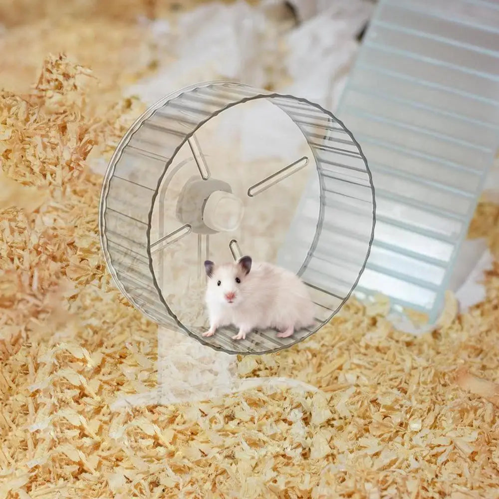 Silent Hamster Wheel Quiet Spinner Small Animals Exercise Wheels Super Quiet Hedgehog Acrylic Silent Spin With Height Adjustable