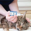 Ear Drops for Cat and Dog 60ml Gentle & Natural Ear Drops Ear Cleaning Liquid Regular Use Helps Avoid Discomfort Dog Ear Cleaner