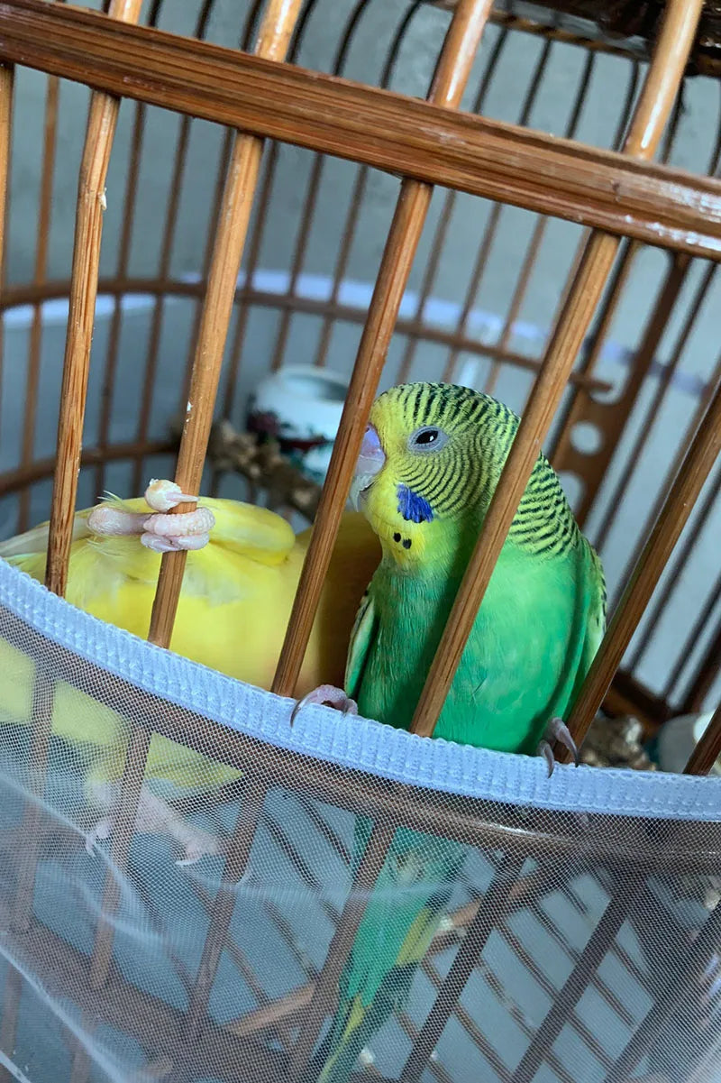 Mesh Bird Cage Cover Shell Skirt Net Easy Cleaning Seed Catcher Guard Bird Cage Accessories Nylon Parrot Bird Cage Net
