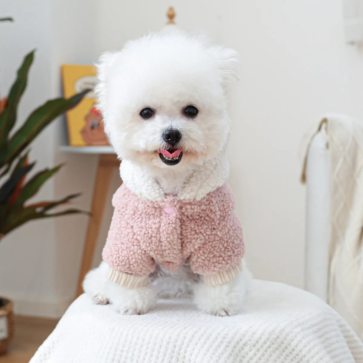 Thicken Warm Sherpa Fleece Dog Coat Winter Dog Clothes for Small Medium Dogs, Puppy Hooded Sweater Yorkie Chihuahua Pet Apparel