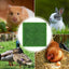 Chicken Coop Bedding Mats Coop Chicken Box Nesting Mat Washable Chicken Bedding For Coop And Laying Boxes Pad Coop Mat For
