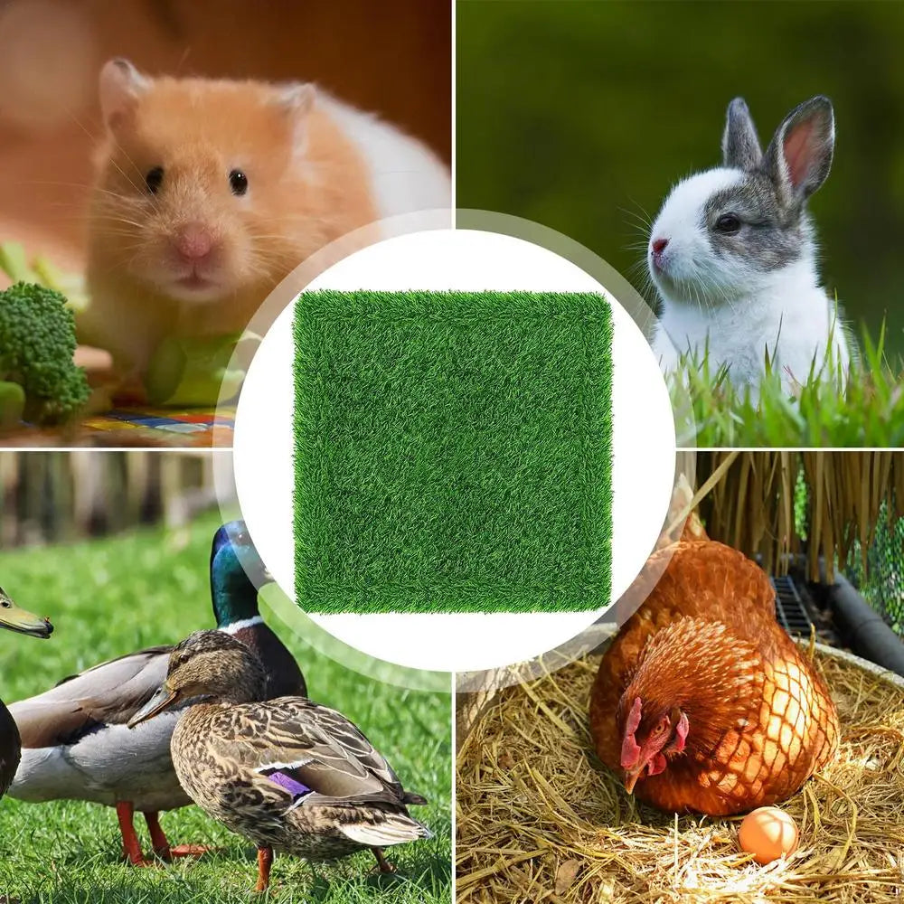 Chicken Coop Bedding Mats Coop Chicken Box Nesting Mat Washable Chicken Bedding For Coop And Laying Boxes Pad Coop Mat For