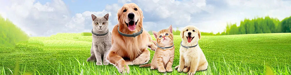 Repellent Collar Dog Flea Prevention Cat Anti Ticks Parasite Collar for Small Large Dogs Anti Flea and Ticks Collar Pet Supplies