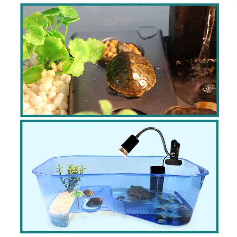 Aquarium for Tank Breeding Box with Basking Platform Habitat Tortoise Feeding Box for Turtle Vivari