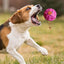 Dog Giggle Ball Teething Ball Toys Interactive Slow Feeder Balls Creative Dog Leaky Ball With Giggle Sound For Dogs Foraging