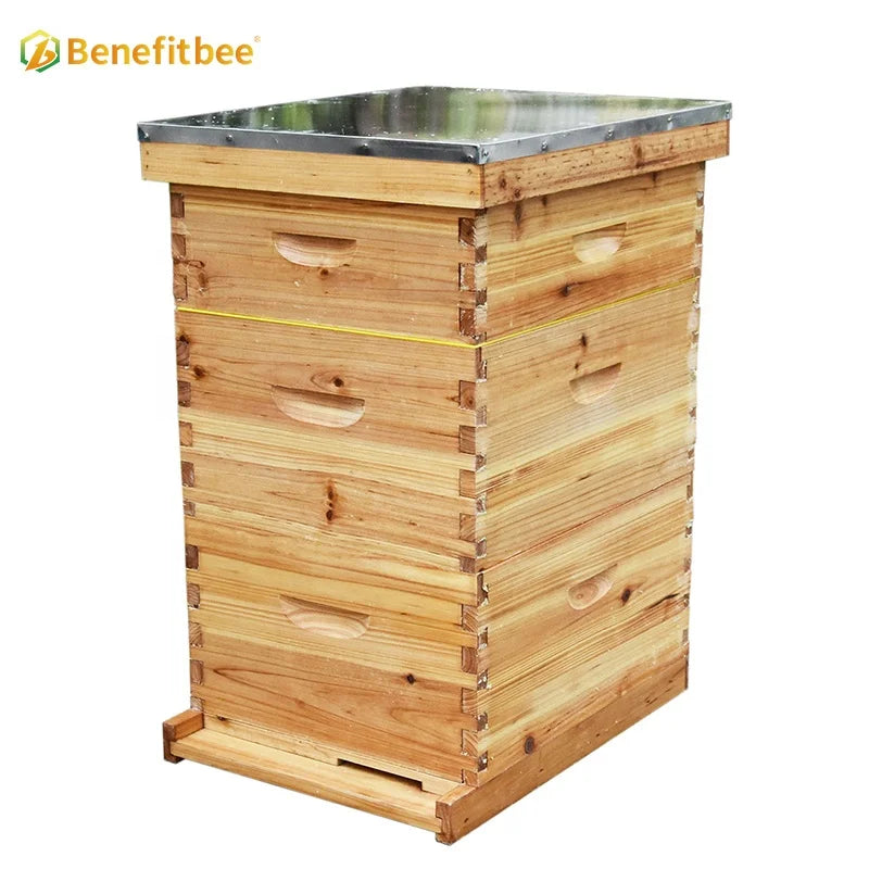 Benefitbee beekeeping 3 layers Langstroth beehive kit with 1 deep box and 2 super boxes bee hive complete