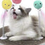 Smart Interactive Ball Cat Toys Catnip Cat Training Toy Pet Playing Ball for Cats Kitten Kitty Pet Squeaky Toy Supplies Products