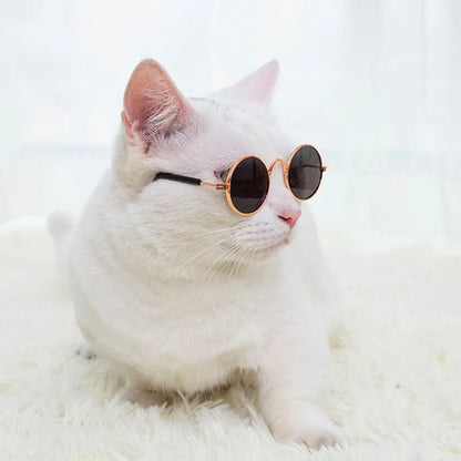 Anti-slip Cat Sunglasses Pet Accessories Small Dog Sun Glasses Classic Retro Circular Glasses for Kitten Photos Props Cosplay
