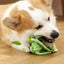 Pet Dog Toys for Large Small Dogs Toy InteractiveCotton Rope Mini Dog Toys Ball for DogsAccessories Toothbrush Chew Puppy Toy