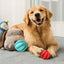 Pet Dog Toys Balls Interactive Treat Rope Rubber Leaking Balls for Small Medium Dogs Chewing Bite Resistant Pet Tooth Cleaning