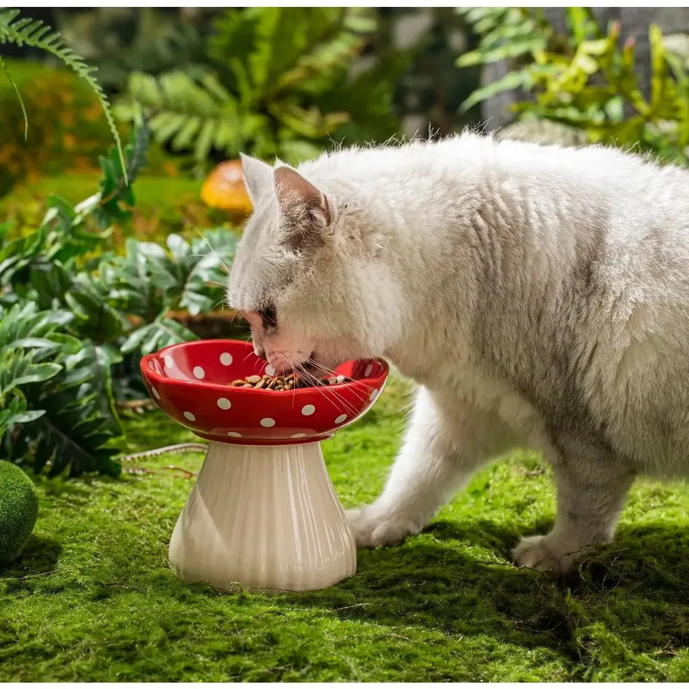 Mushroom Cat Bowl Cute Polka Dot Safe Ceramic Elevated Cat Feeder for Cats and Dogs Drinking Water Bowl Cat Feede Pet Supplies