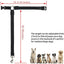 Pet car safety rope ring dog car safety belt rear seat towing rope