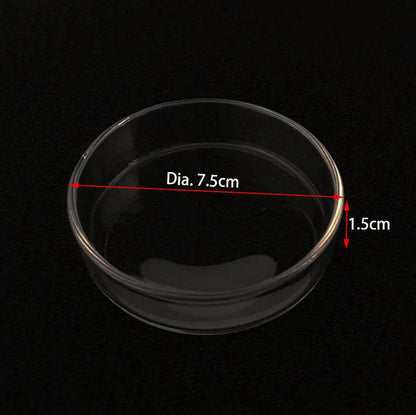 Transparent Aquarium Fish Tank Shrimp Food Feeding Circle Glass Feeder Floating Bottom Feeder Fish Shrimp Aquarium Accessories