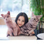 3D Cat Figures Pillows Soft Simulation Cat Shape Cushion Sofa Decoration Throw Pillows Cartoon Plush Toys Friend Kids Gifts