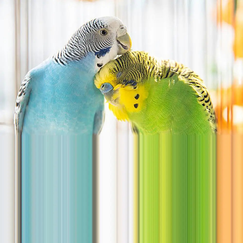 Bird Cotton Nest Coconut Shell Parrot Warm Nest Mat Bird Sleeping Tool with Thickened Edge for Pets Bird Budgie Parakeet